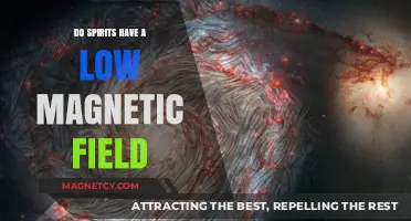 Exploring the Invisible: Do Spirits Emit a Low Magnetic Field?