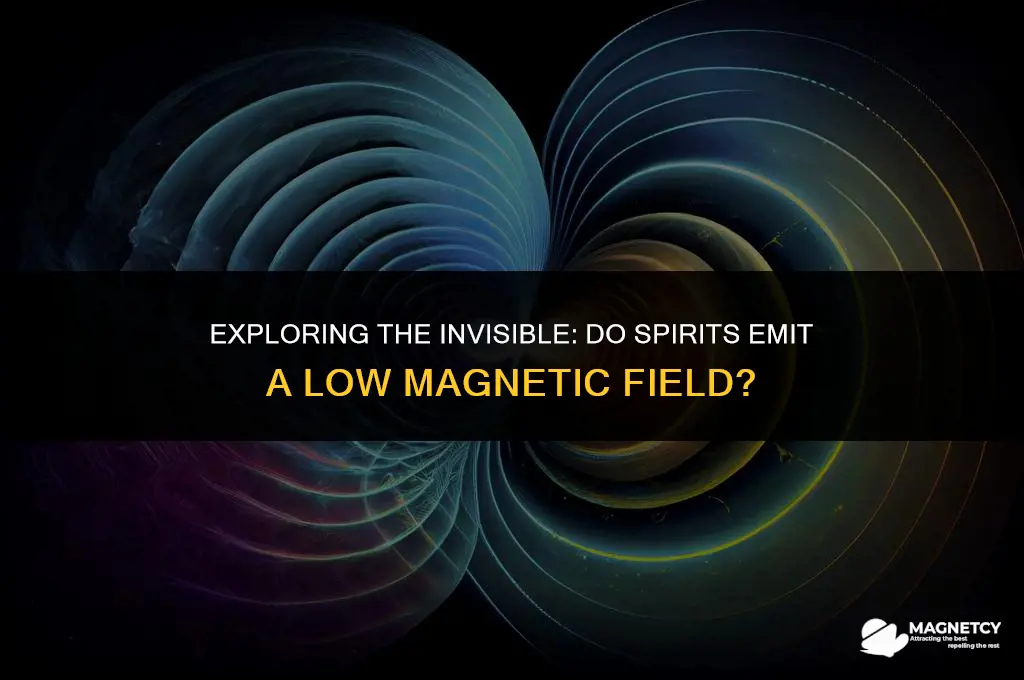 do spirits have a low magnetic field