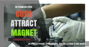 Do Stainless Steel Cups Attract Magnets? Unveiling the Truth