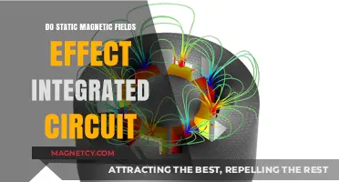 Exploring the Impact of Static Magnetic Fields on Integrated Circuits