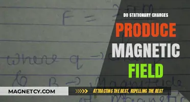Exploring the Link Between Stationary Charges and Magnetic Fields