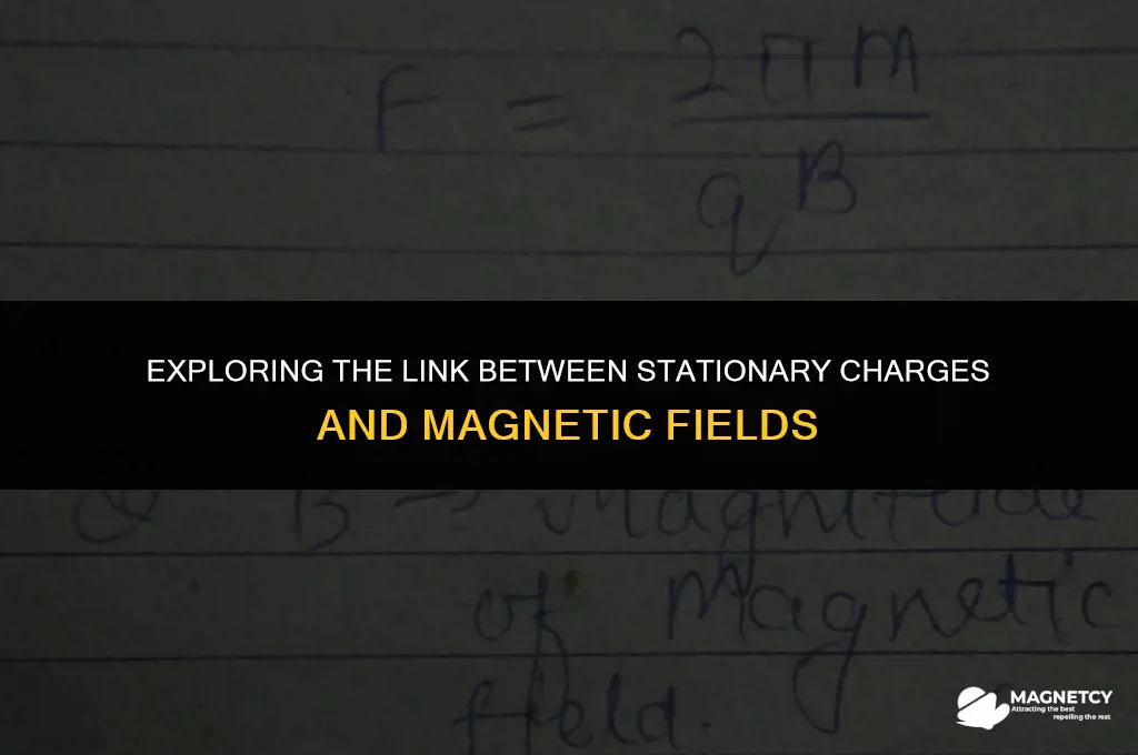 do stationary charges produce magnetic field