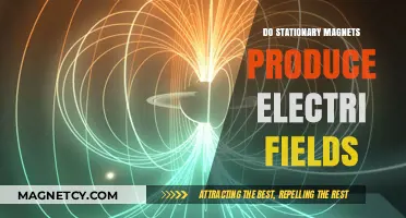 Exploring the Invisible: Do Stationary Magnets Generate Electric Fields?