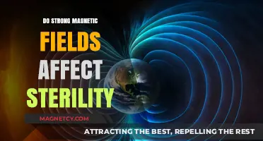 Exploring the Impact of Strong Magnetic Fields on Human Fertility