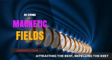 Exploring the Mysteries of Strong Magnetic Fields
