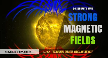 Unveiling the Mysteries: Sunspots and Their Magnetic Fields
