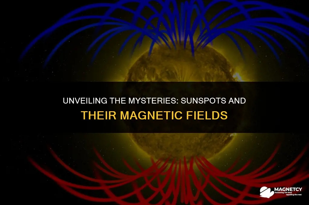 do sunspots have strong magnetic fields