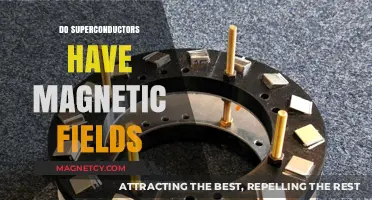 Exploring the Magnetic Mysteries of Superconductors: A Deep Dive