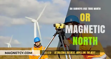 True North vs. Magnetic North: Which Do Surveys Actually Use?