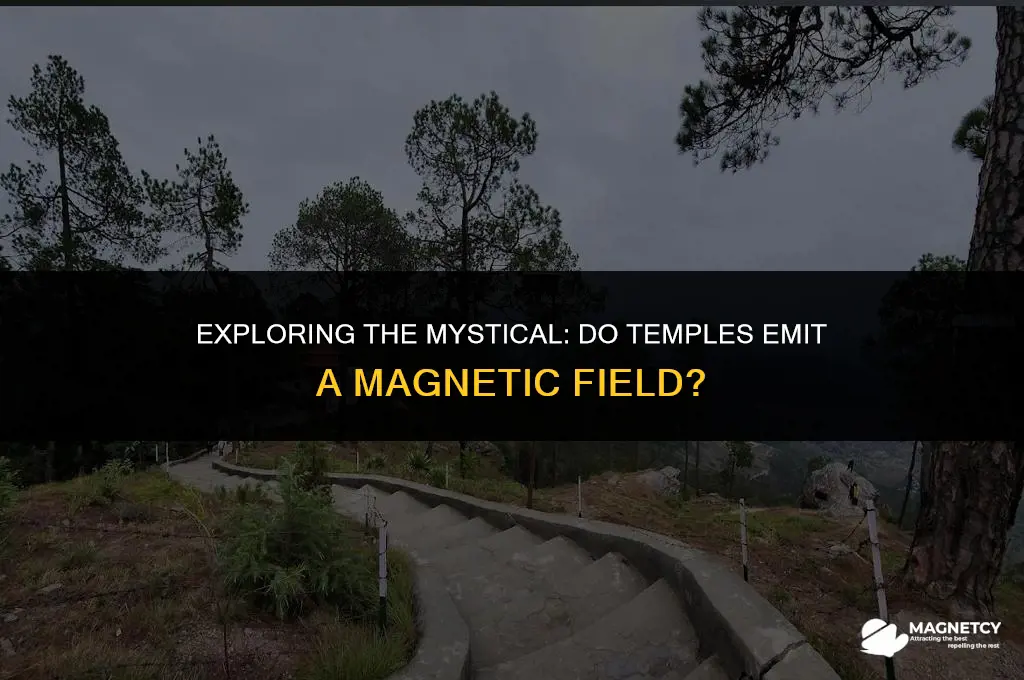 do temples have magnetic field