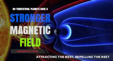 Exploring the Magnetic Mysteries of Terrestrial Planets