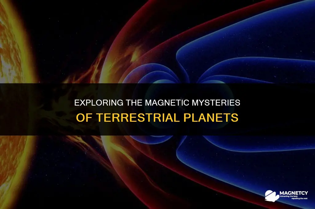 do terrestrial planets have a stronger magnetic field