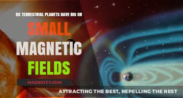 Exploring the Magnetic Mysteries of Terrestrial Planets