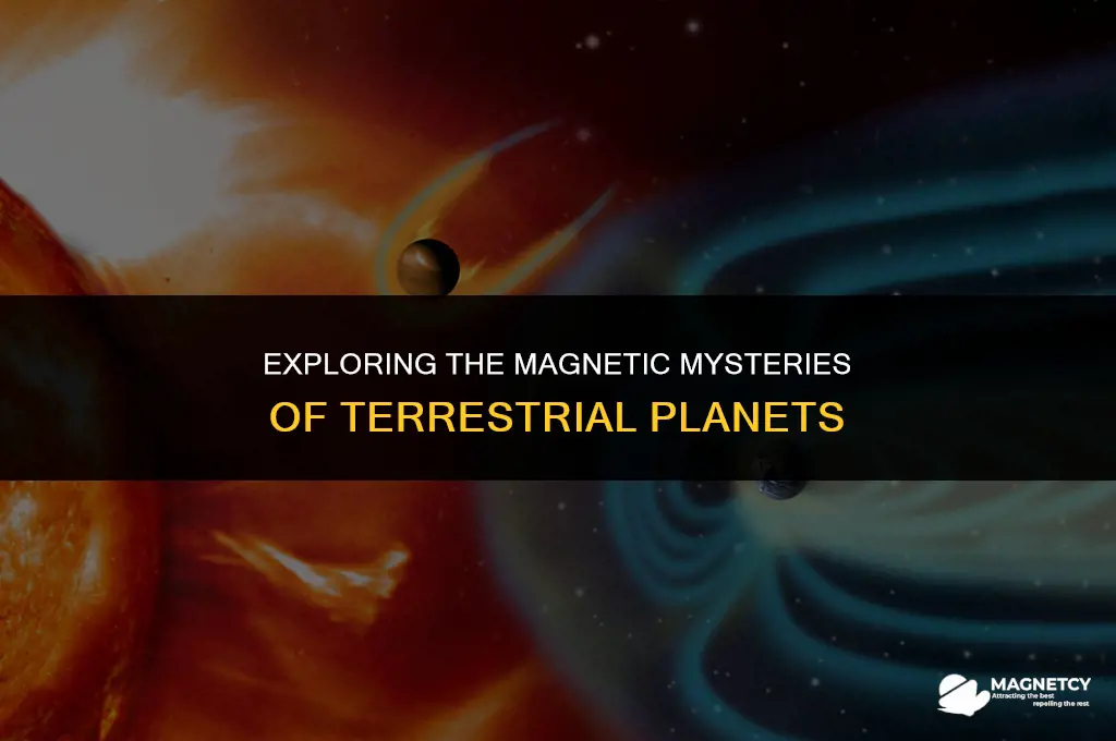 do terrestrial planets have big or small magnetic fields