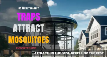 Do Fly Magnet Traps Effectively Attract and Trap Mosquitoes?