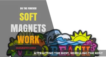 Exploring the Effectiveness of Forever Soft Magnets: A Comprehensive Review