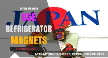 Refrigerator Magnets in Japan: A Cultural and Practical Perspective