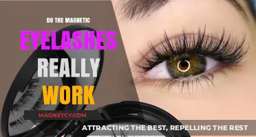 Magnetic Eyelashes: The Truth Behind Their Alluring Appeal