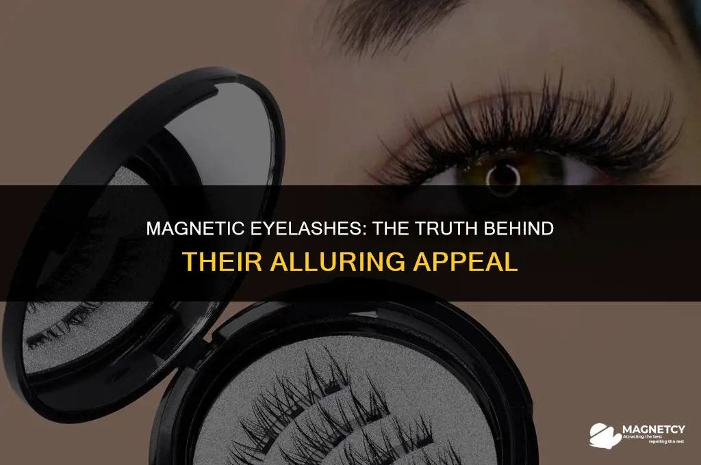 do the magnetic eyelashes really work