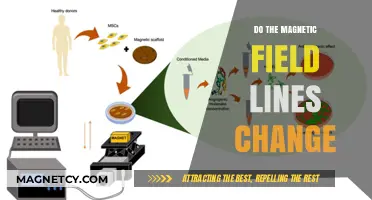 Exploring the Dynamics of Magnetic Field Lines: Do They Change?