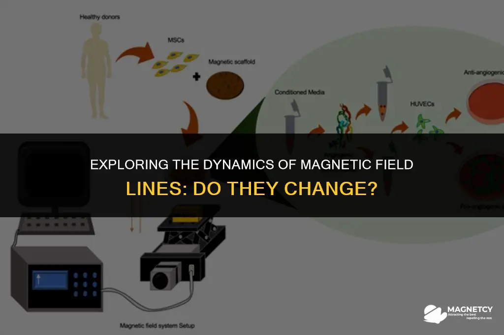 do the magnetic field lines change