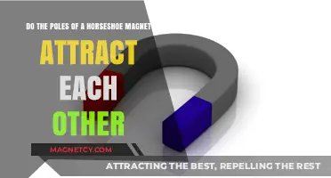 Do Horseshoe Magnet Poles Attract? Exploring Magnetic Forces and Interactions