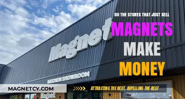 Profiting from Magnet Sales: A Lucrative Niche Business?