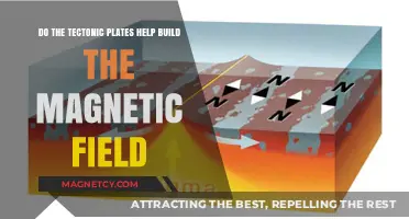 Exploring Earth's Core: Tectonic Plates' Role in Magnetic Field Generation