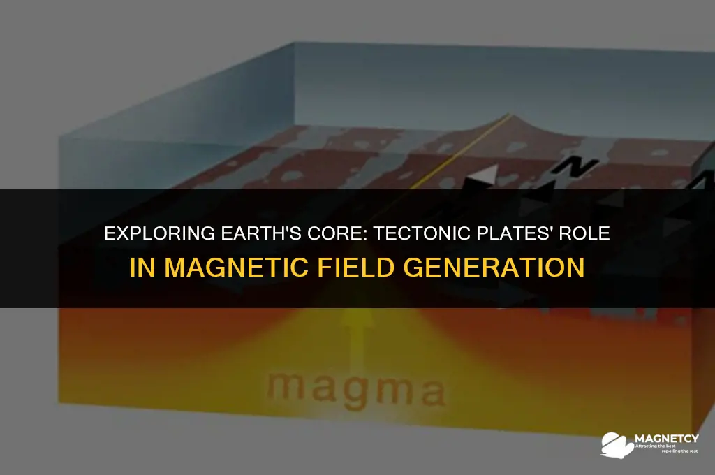 do the tectonic plates help build the magnetic field
