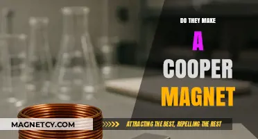 Exploring the Existence of Cooper Magnets: A Scientific Inquiry