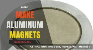 Exploring the World of Aluminum Magnets: Facts and Uses
