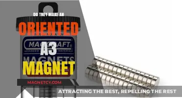 Exploring the Availability of Oriented A3 Magnets: A Comprehensive Guide