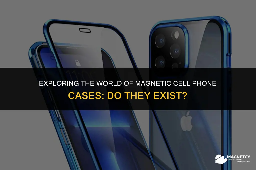 do they make magnetic cell phone cases