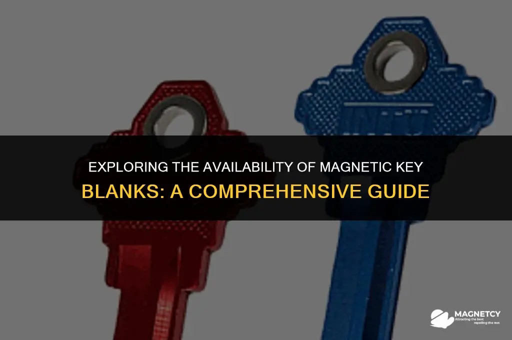 do they make magnetic key blanks