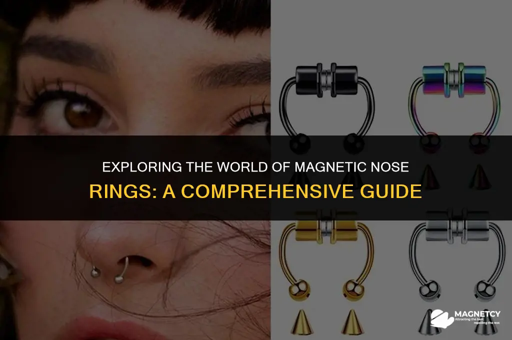 do they make magnetic nose rings