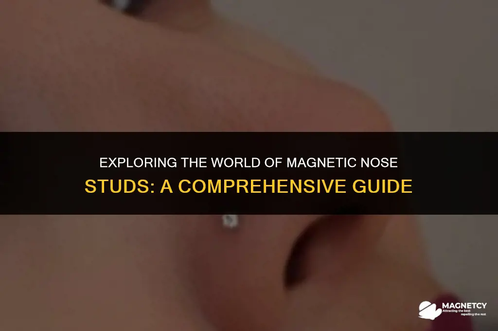 do they make magnetic nose studs