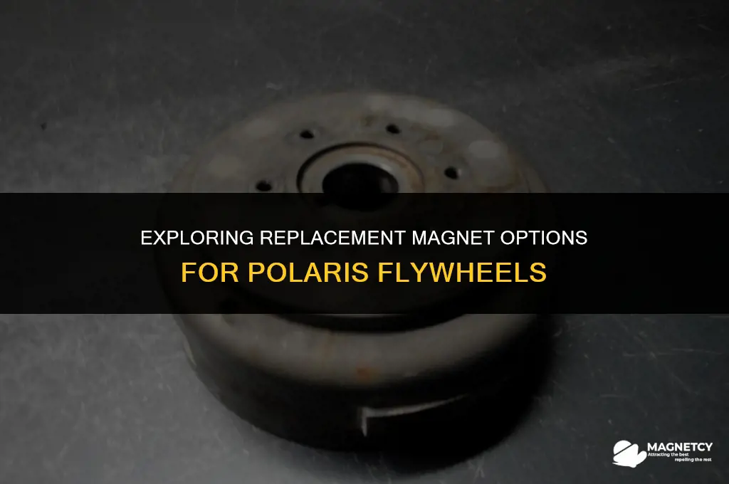 do they make replacement magnets for polaris flywheel