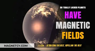 Exploring the Magnetic Mysteries of Tidally Locked Worlds