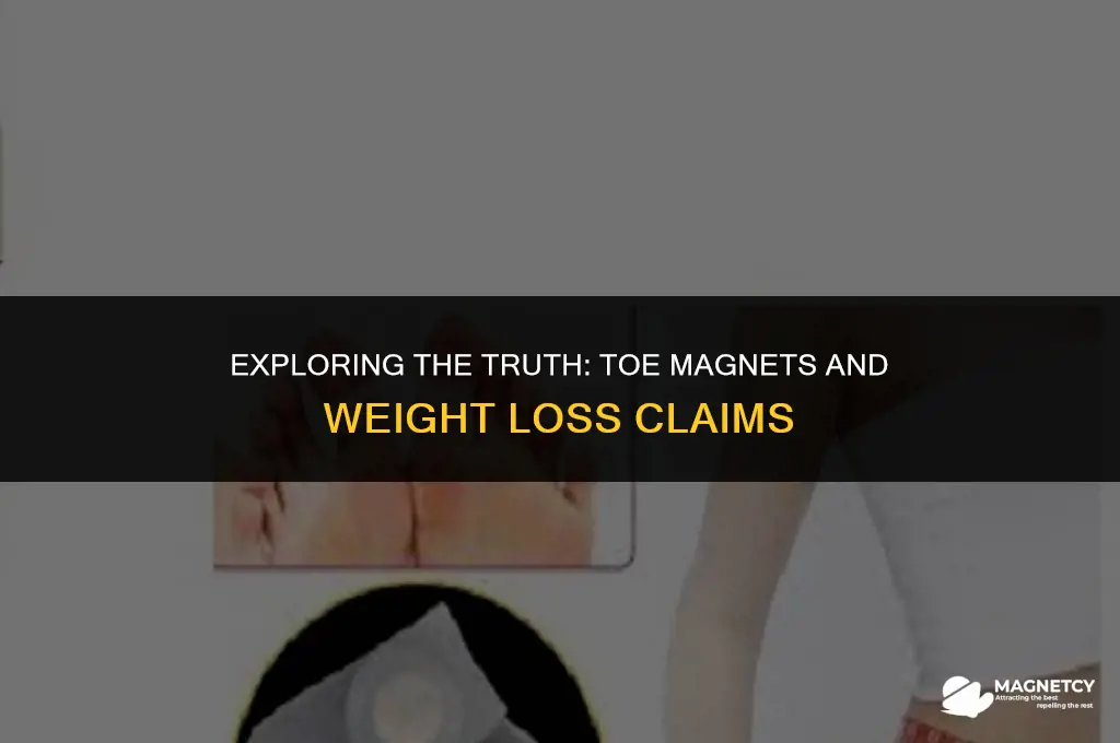 do toe magnets work for weight loss