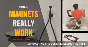 The Truth Behind Toilet Magnets: Do They Really Work?