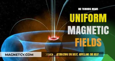 Exploring the Magnetic Uniformity of Toroids: A Comprehensive Guide