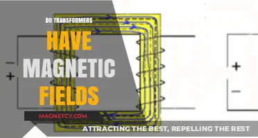 Exploring the Magnetic Mysteries of Transformers: A Deep Dive