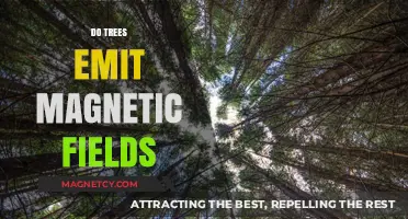 Exploring Nature's Hidden Forces: Do Trees Emit Magnetic Fields?