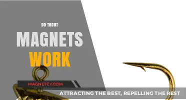 Unveiling the Truth: Do Trout Magnets Really Attract Fish?