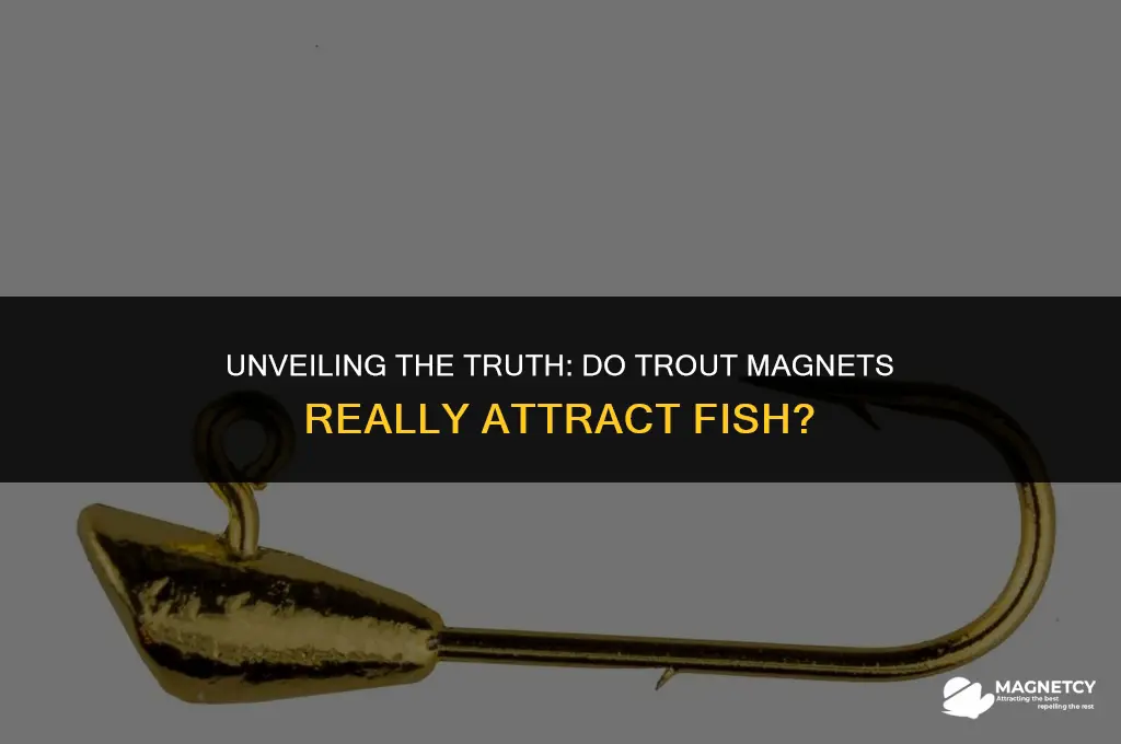 do trout magnets work