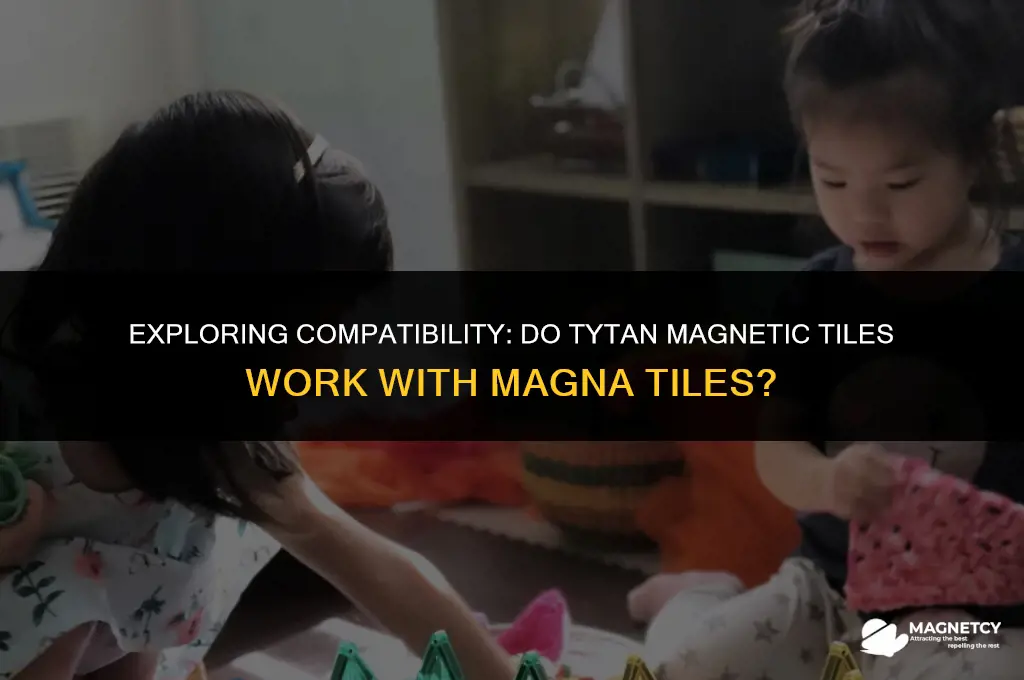 do tytan magnetic tiles work with magna tiles