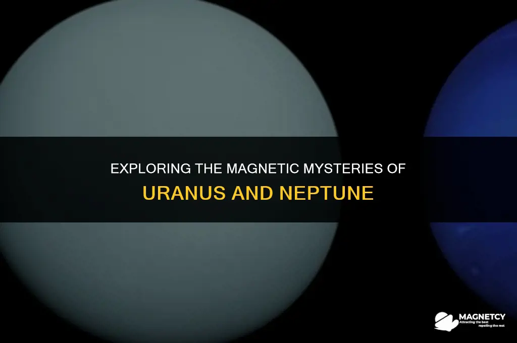do uranus and neptune have magnetic fields