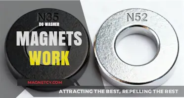 Unraveling the Mystery: Do Washer Magnets Really Work?