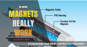 Unveiling the Truth: Do Water Magnets Really Work?