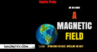 Exploring Earth's Invisible Shield: Do We Have a Magnetic Field?